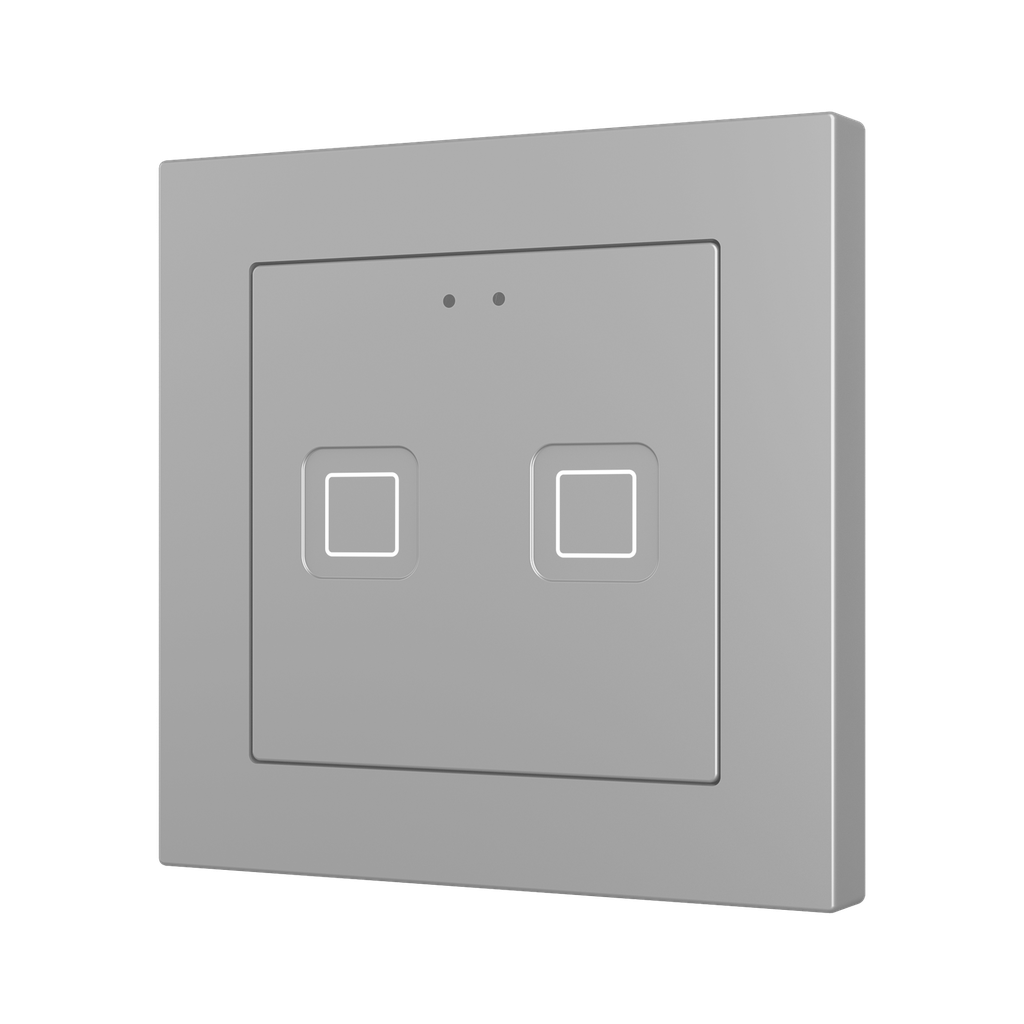 Tryckknapp Tecla55 X2 silver